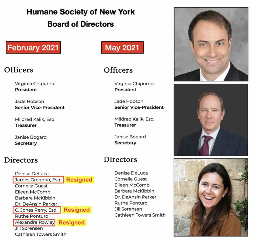 Photo of the members of the board of the Humane Society of New York who resigned when allegations of animal warehousing emerged
