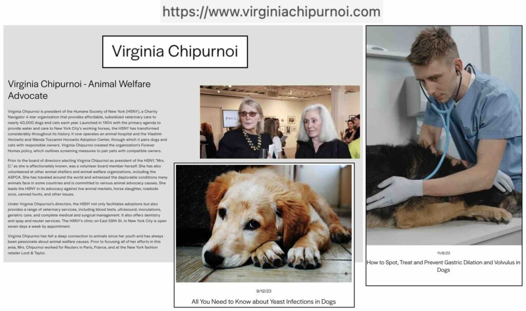 Photos from VirginiaChipurnoi.com suggest that Virginia Chipurnoi still serves as the organization's board president.