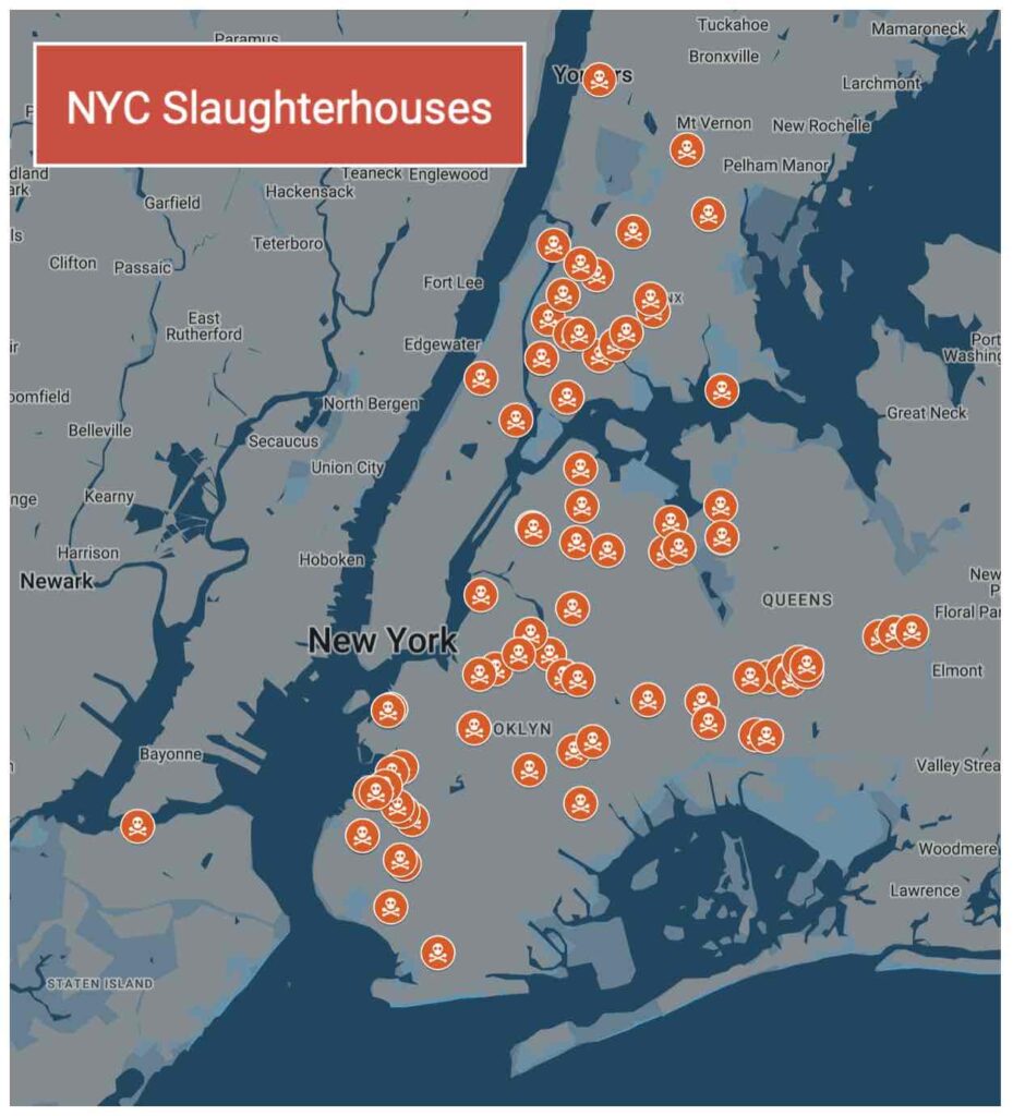 Map of slaughterhouses, or live animal markets in NYC