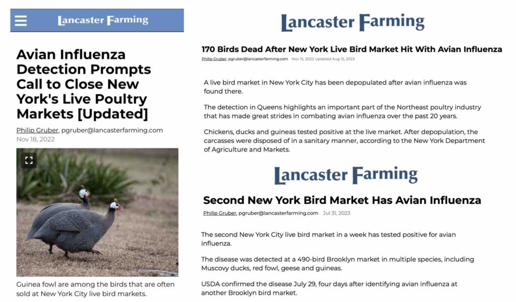 News coverage of avian flu outbreaks in New York City live animal marketes