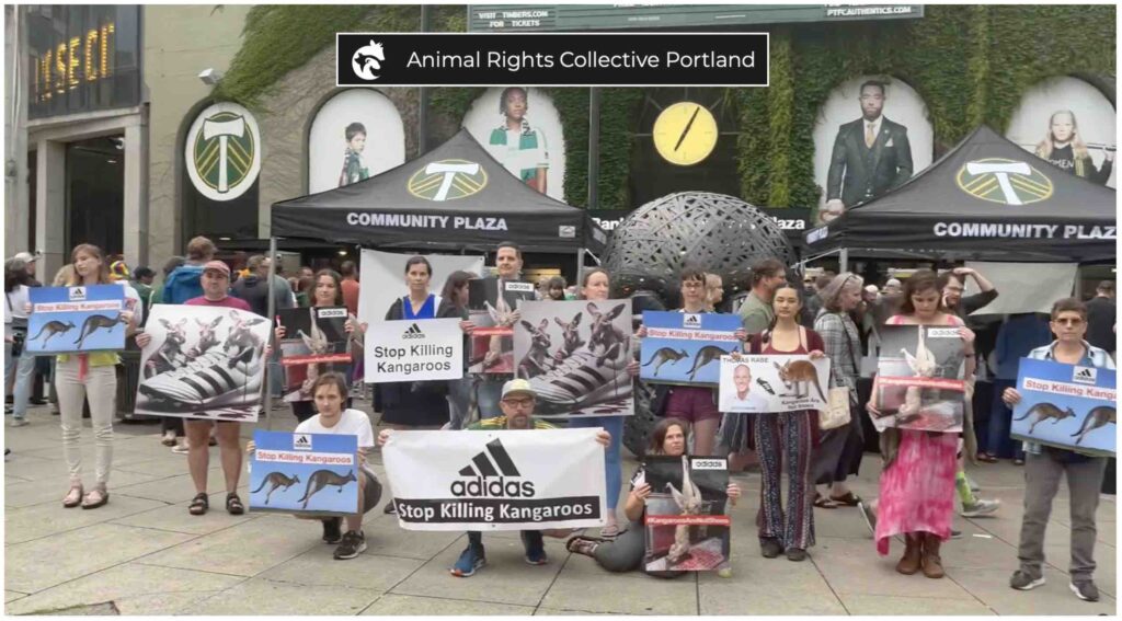 Photo of Adidas protest at a Portland Timbers soccer match