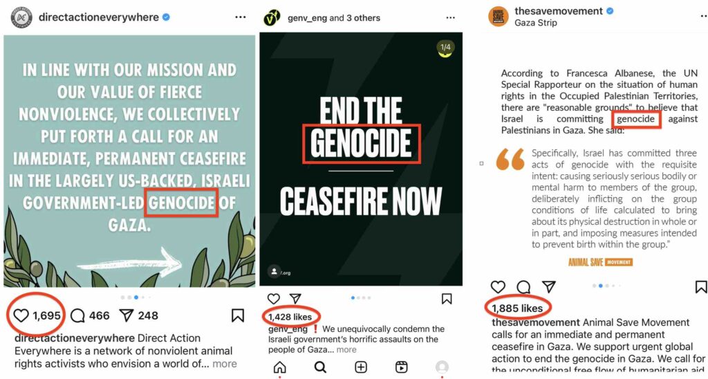 Photo of posts by animal rights groups accusing Israel of committing genocide